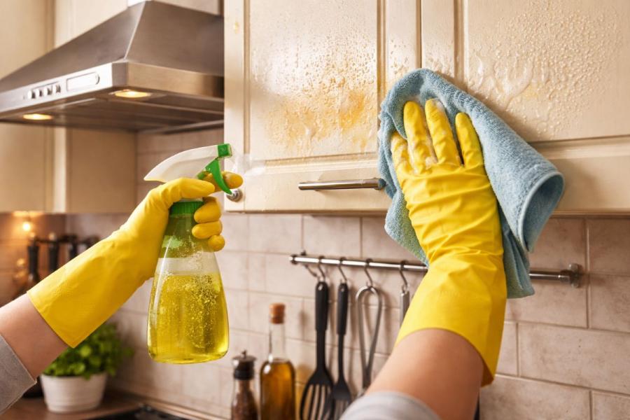 Deep Cleaning Services yjdl2l7uypivk2w6xbiorzuczc3m6qgujohfw7lhovb2bfd b3khng14cfql1d o9m7emy4j26wnm4wqj 5dmphxf8w5jl82bkl pij4a uev2q 7tev0besxk3zbbis7vs97uqawanthpwlym2qar7kbkolgm7bf tex4jdcktg2m8exkzkttpsqanqqe4